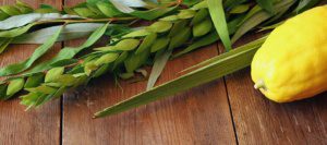 sukkot-holiday-feature